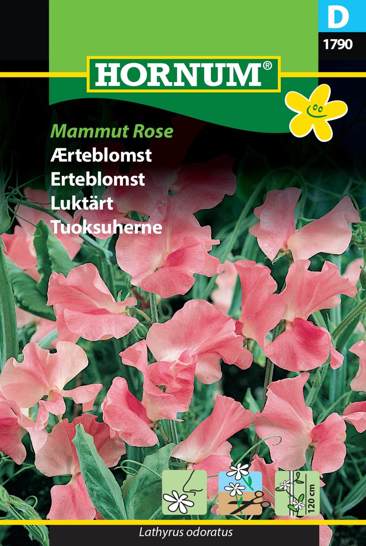 Ærteblomst 'Mammut Rose' Frø