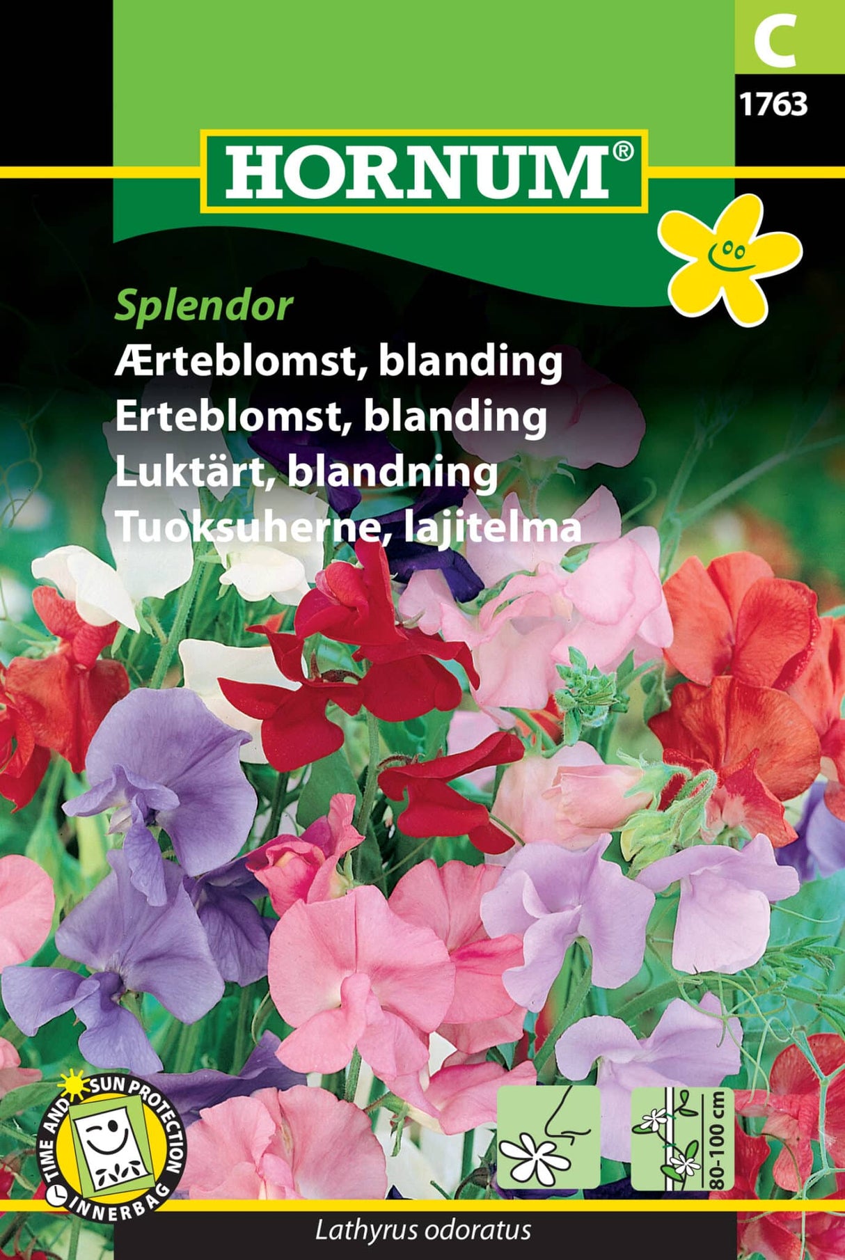 Ærteblomst 'Splendor' Frøblanding