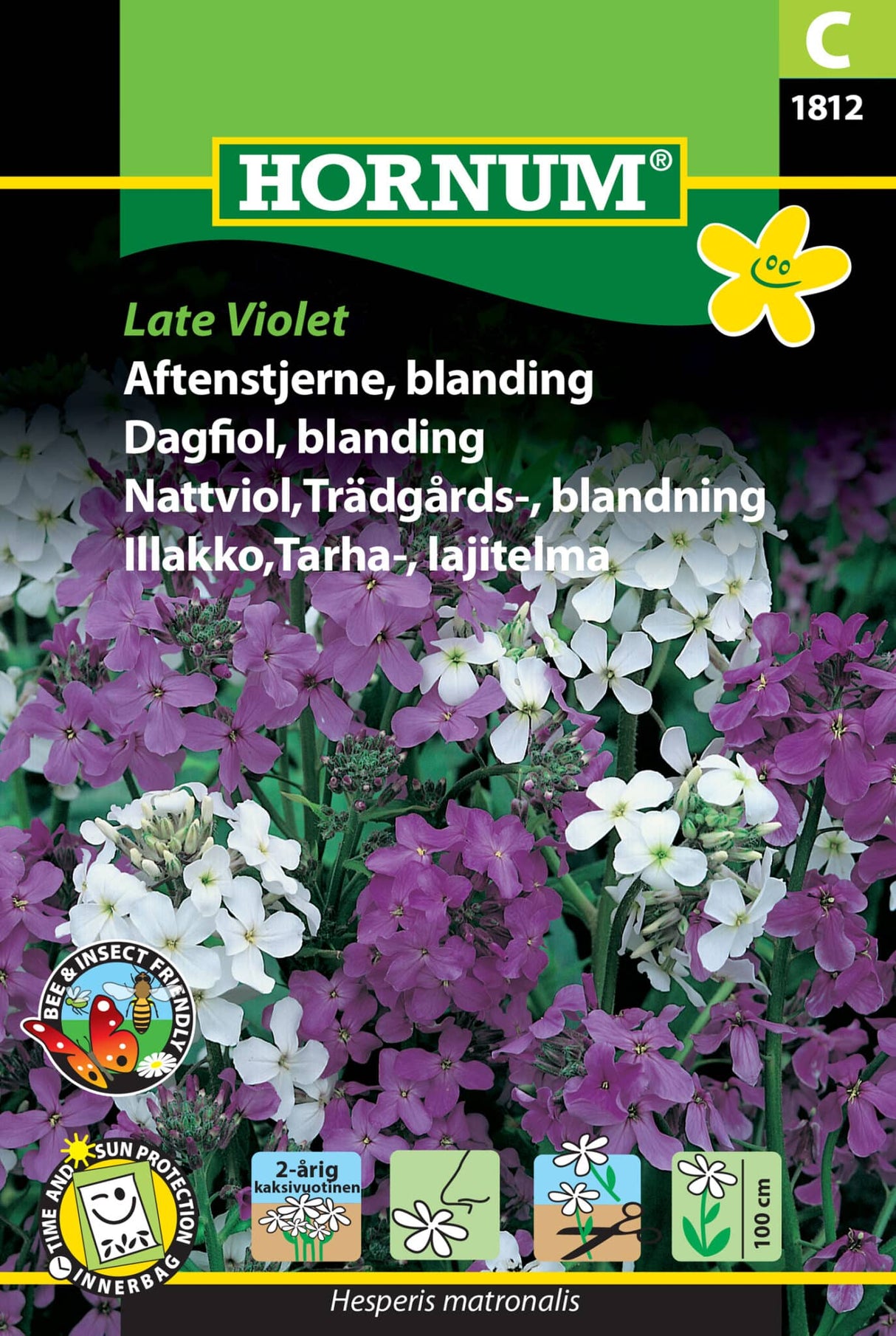 Aftenstjerne 'Late Violet' Frøblanding