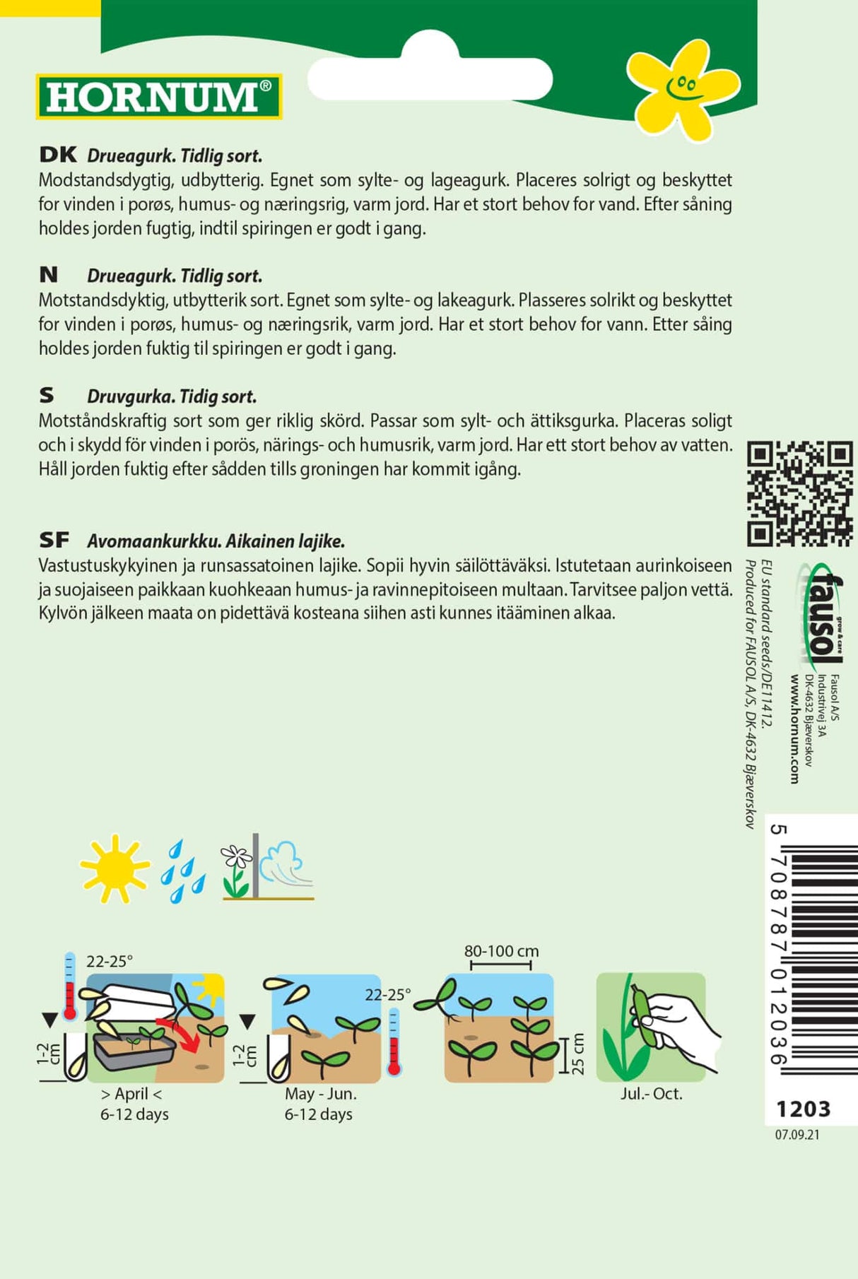 Agurk Drue Frilands 'Vorgebirgs' Frø