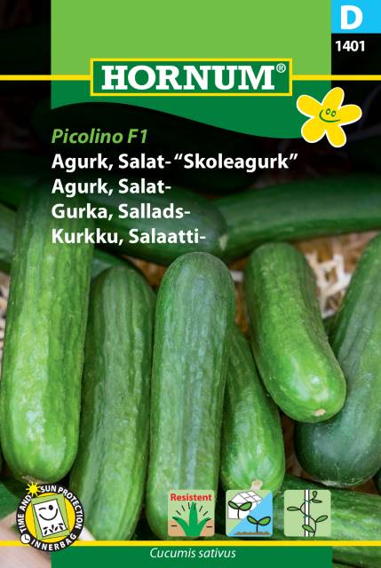 Agurk, Skoleagurk 'Picolino' F1 Frø