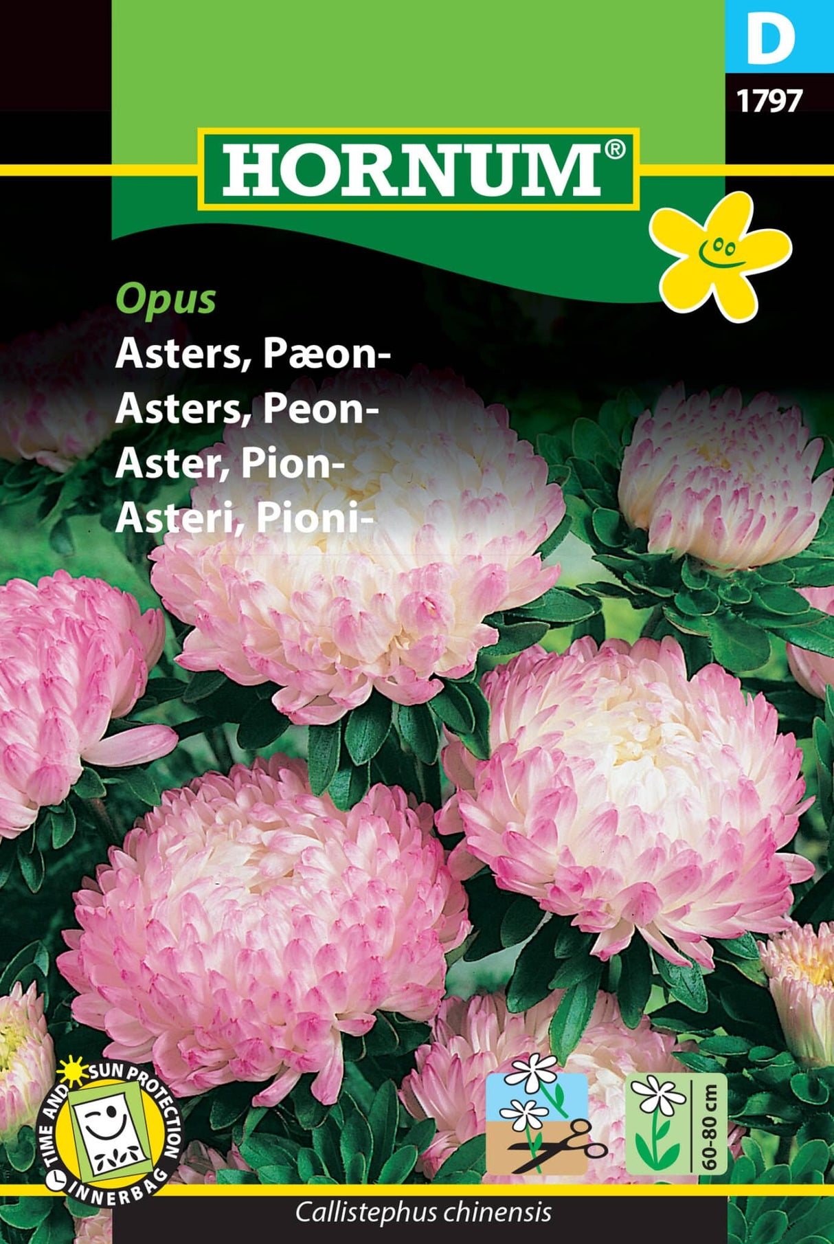 Asters 'Opus' Frø