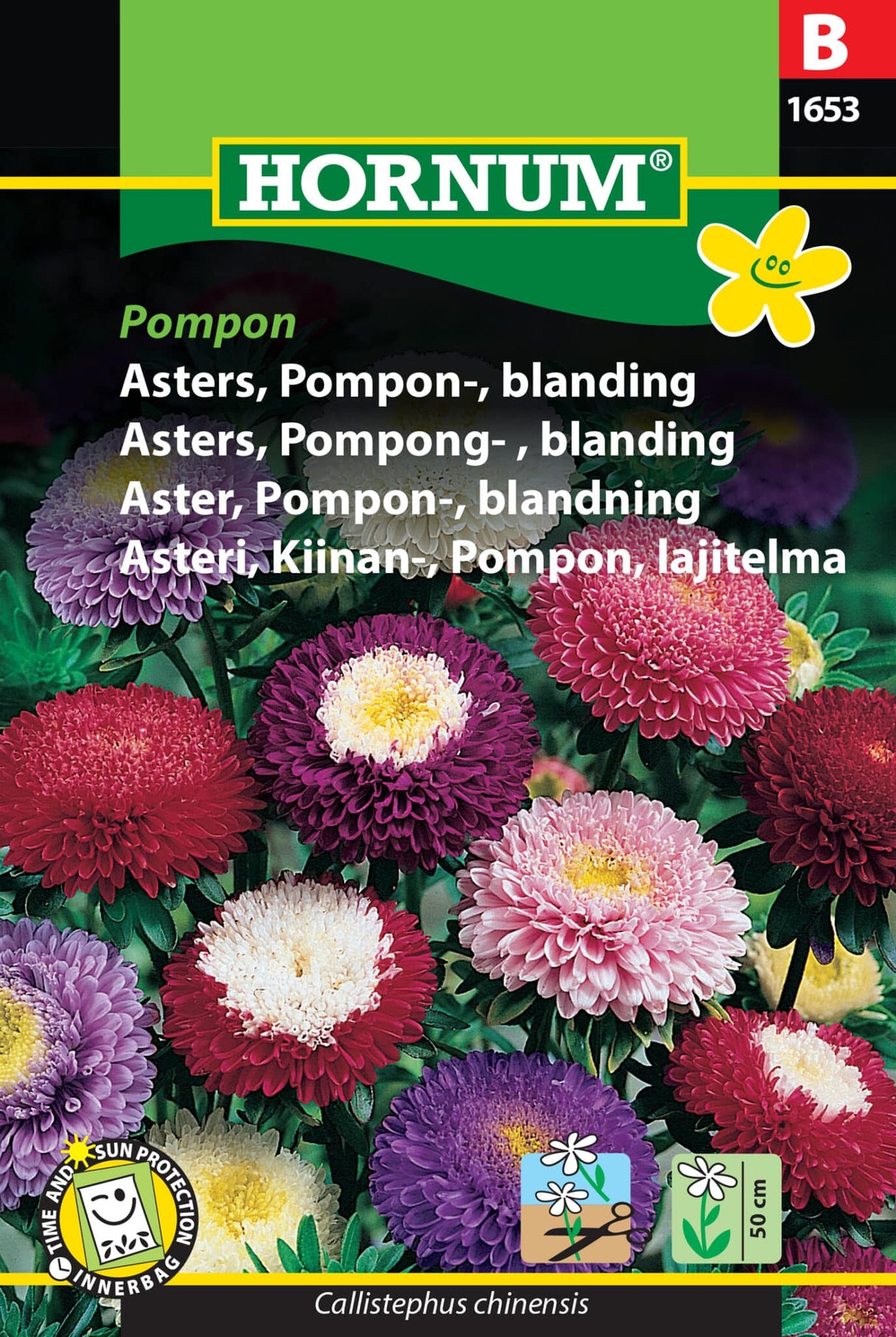 Asters 'Pompon' Frøblanding