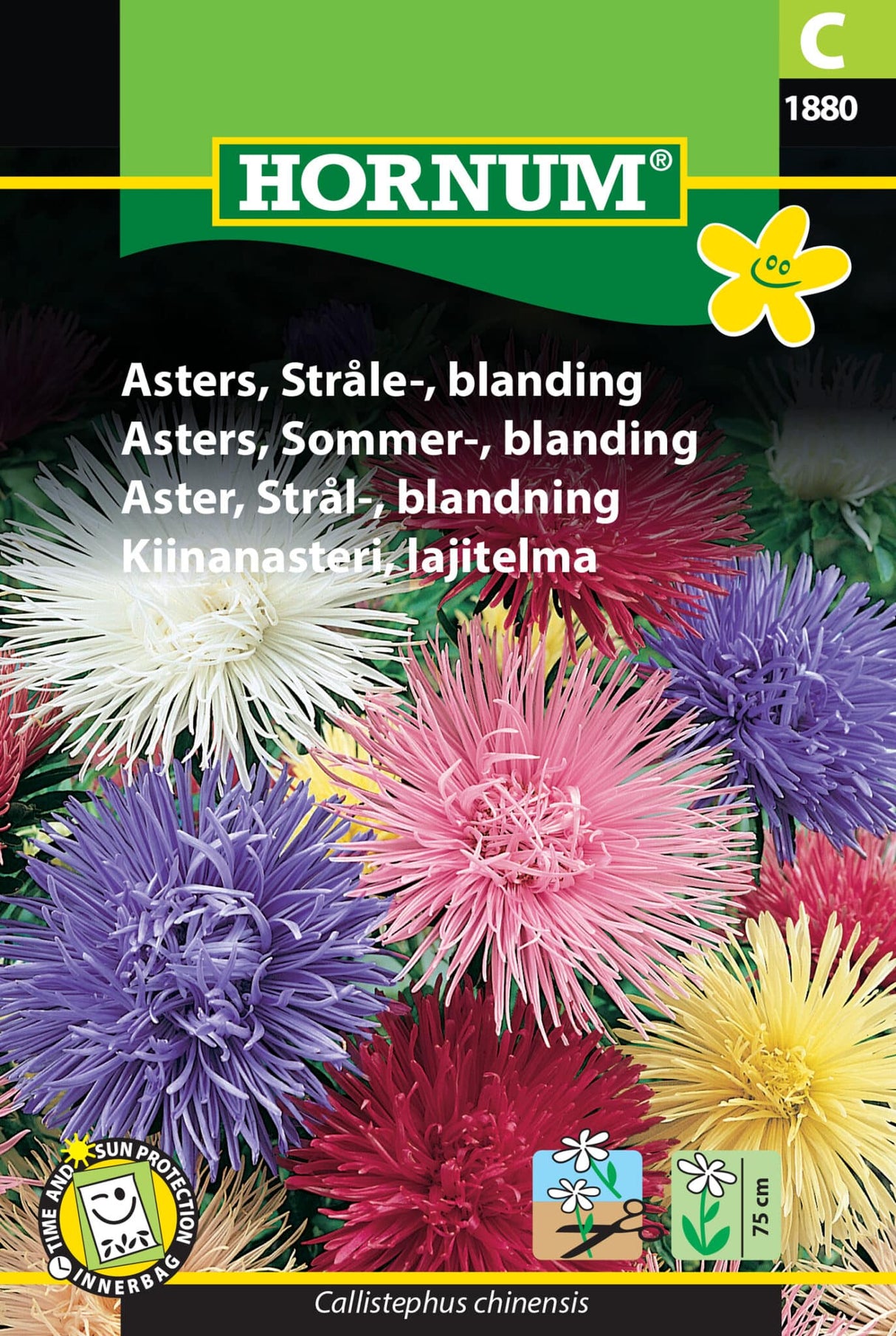 Asters 'Stråle' Frøblanding