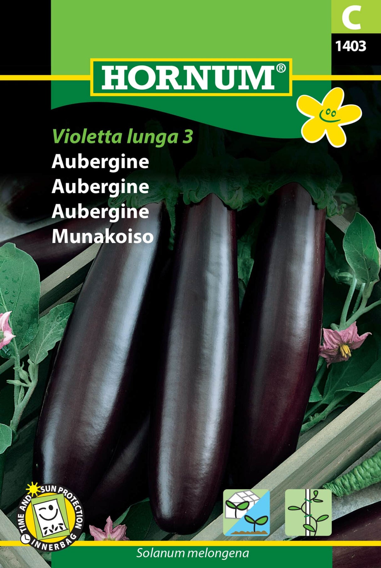 Aubergine 'Violetta Lunga 3' Frø Løgbutikken