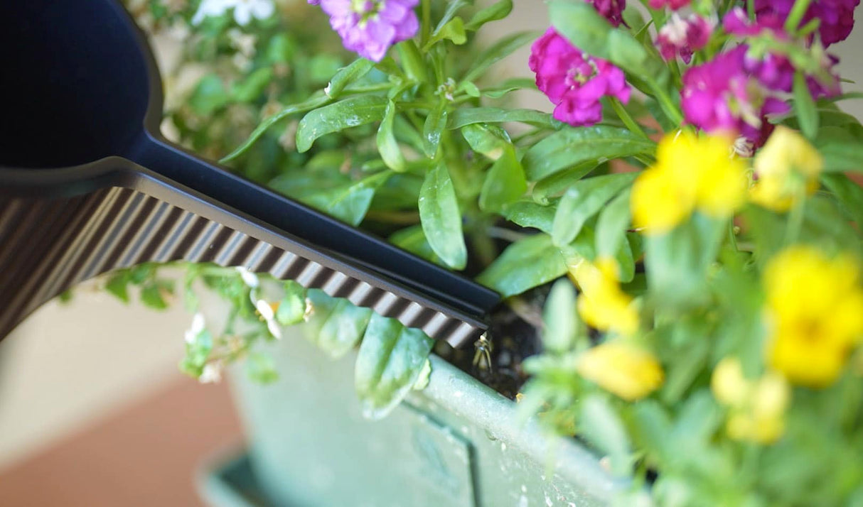 Beetle' Vandkande lille