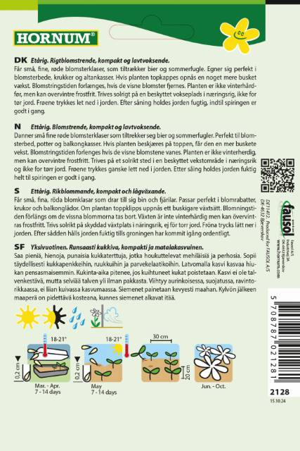 Blåkvast 'Red Sea' Frø