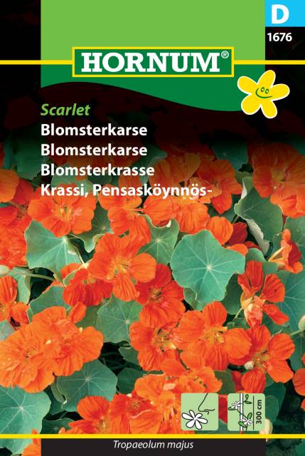 Blomsterkarse 'Scarlet' Frø