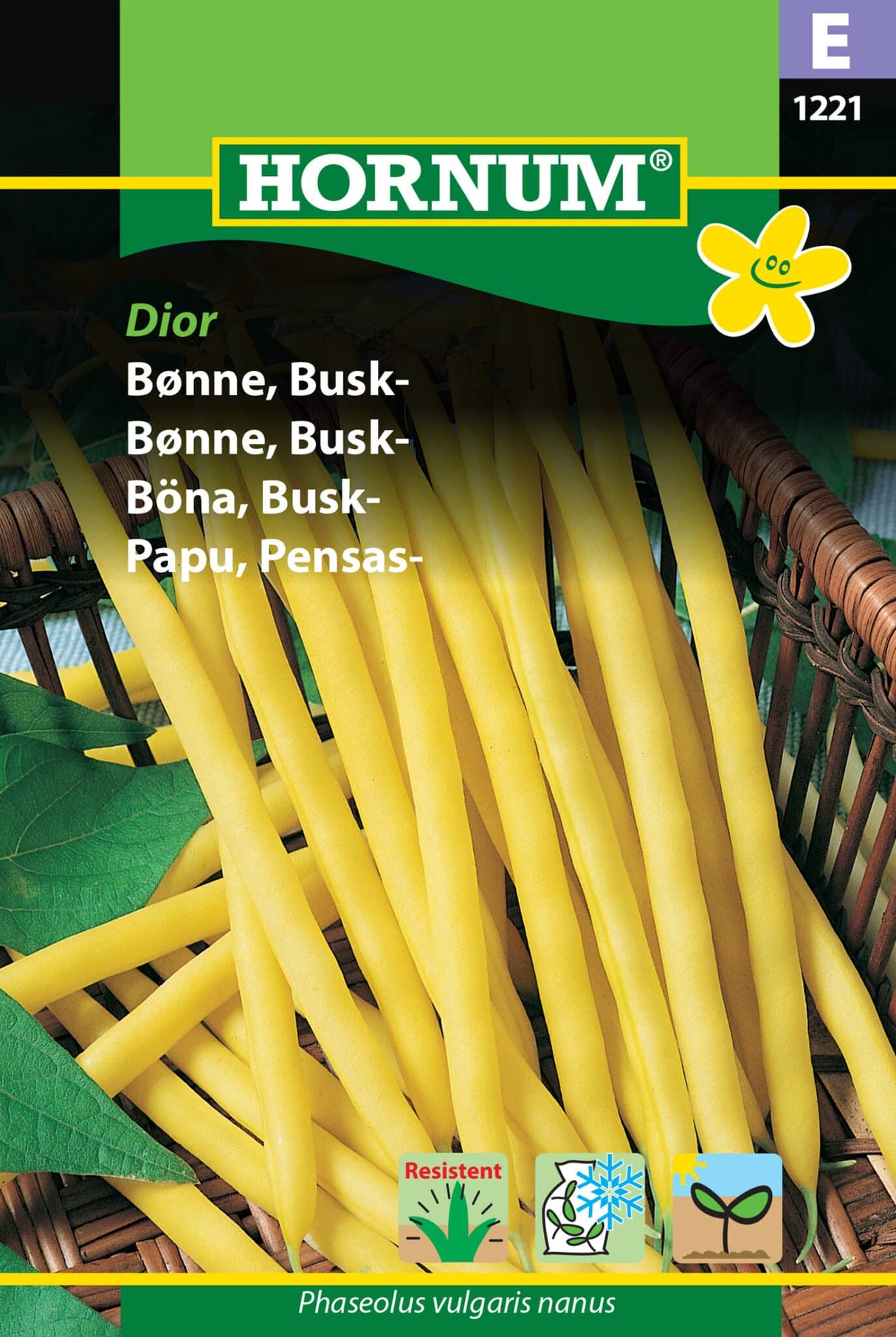 Bønne Busk 'Dior' Frø Løgbutikken