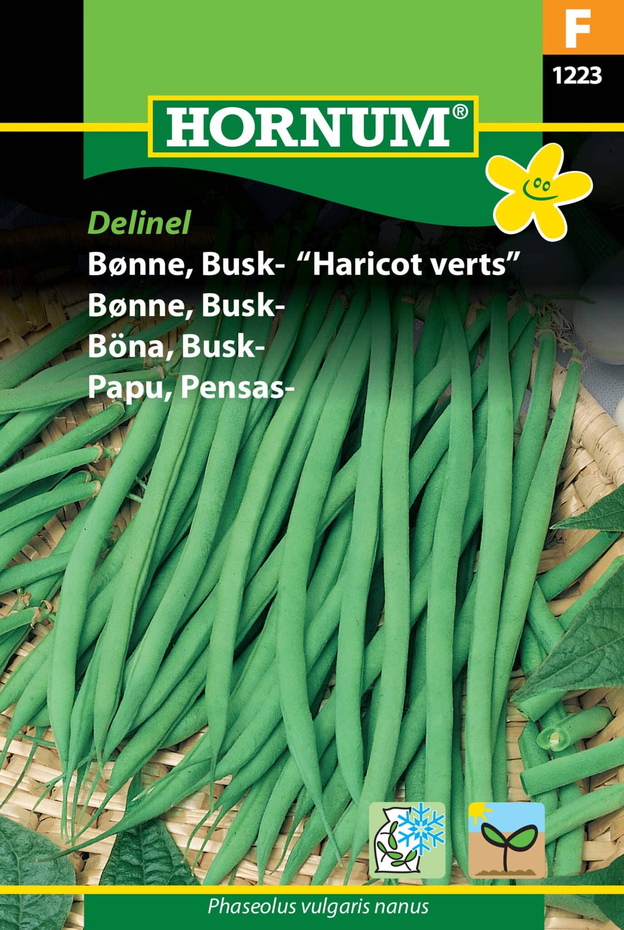 Bønne Busk 'Haricot Verts' Frø Løgbutikken