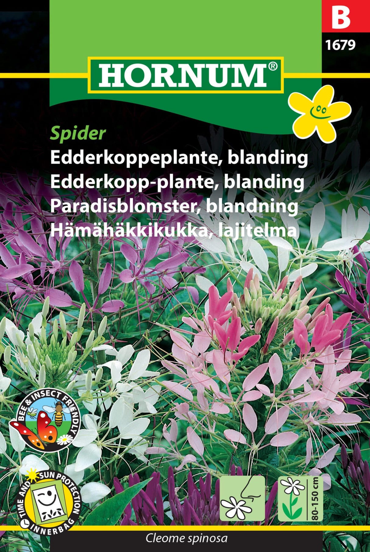 Edderkoppeplante 'Spider' Frøblanding