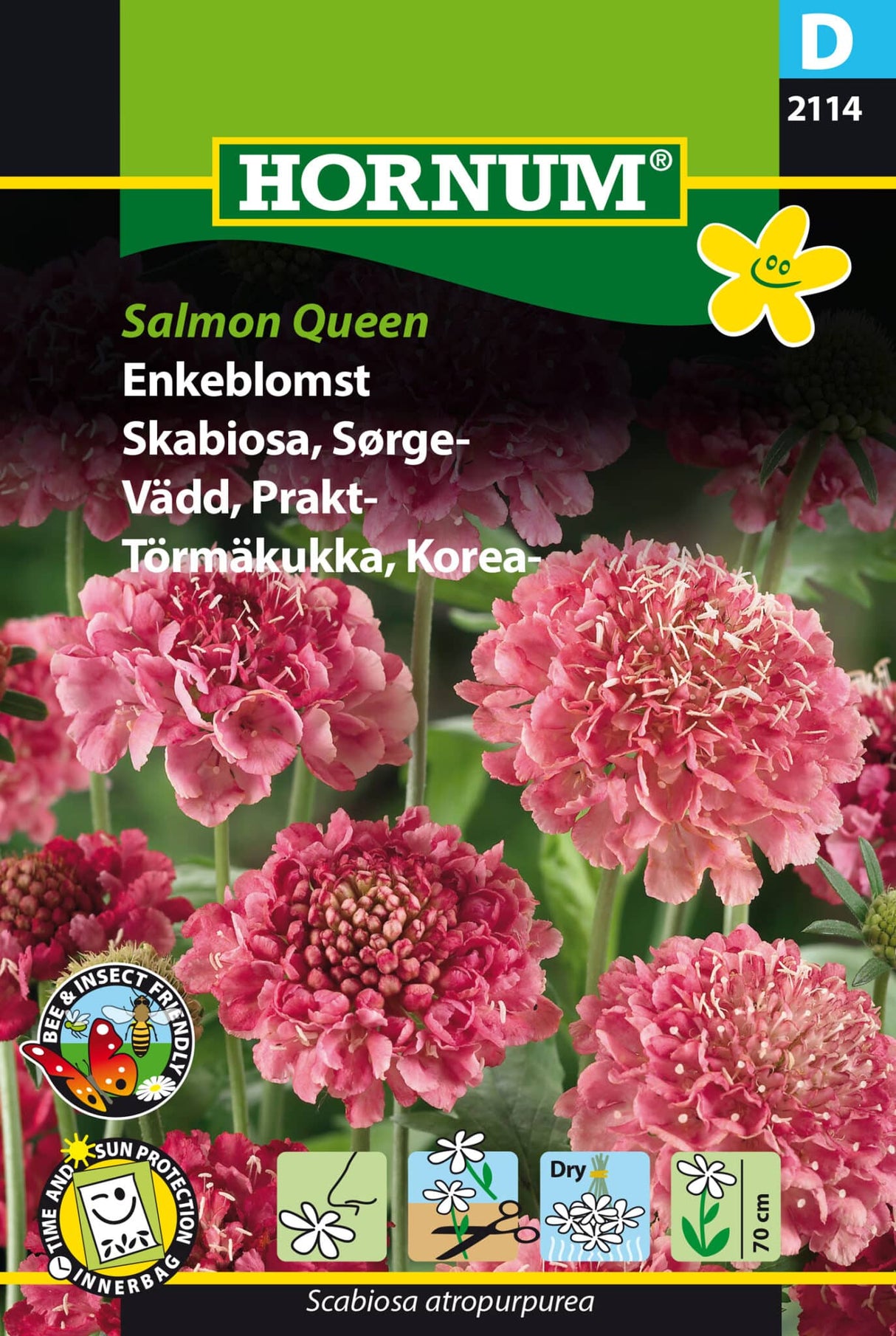Enkeblomst 'Salmon Queen' Frø