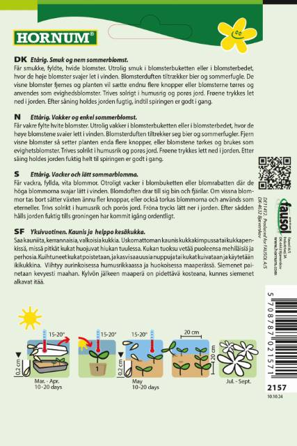 Enkeblomst 'Snow Maiden' Frø