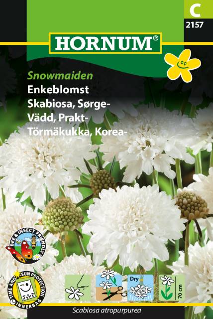 Enkeblomst 'Snow Maiden' Frø