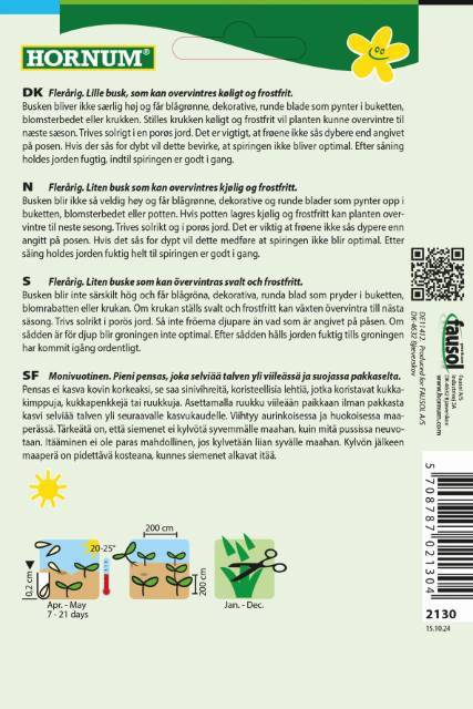 Eukalyptus 'Baby Blue' Frø