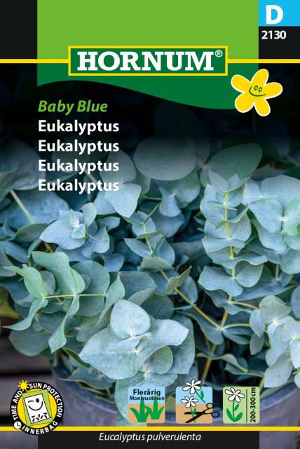Eukalyptus 'Baby Blue' Frø