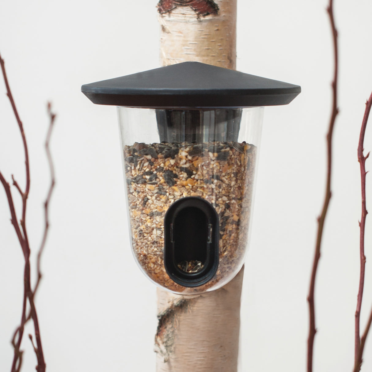 'FeedR' Fuglefoderautomat