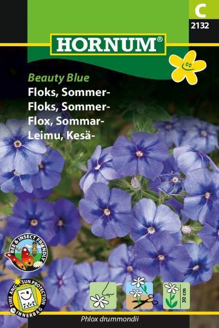 Floks 'Beauty Blue' Frø