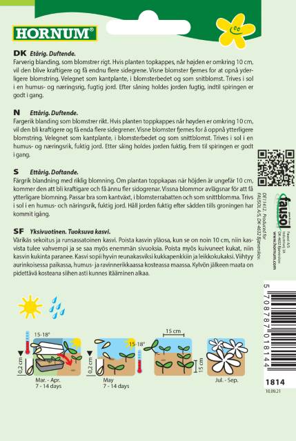 Floks 'Summer' Frøblanding