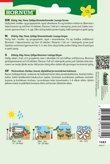 Frøkenhat 'California' Frøblanding