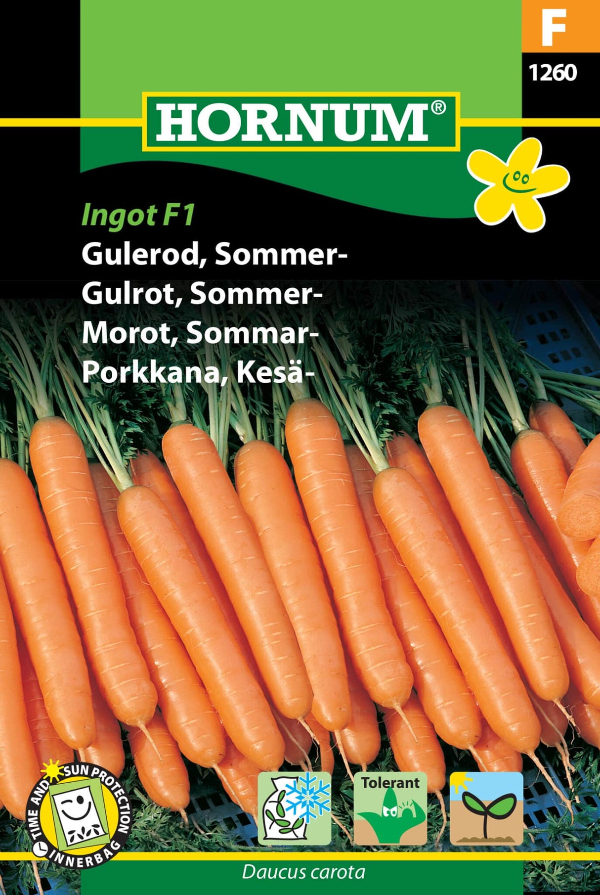 Gulerod Sommer 'Ingot' F1 Frø