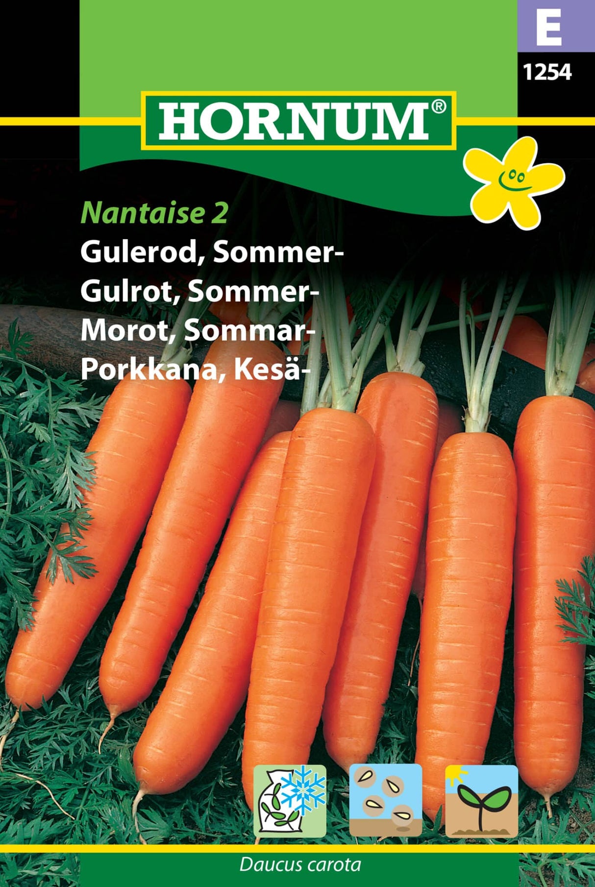 Gulerod Sommer 'Nantaise' 2' Frø