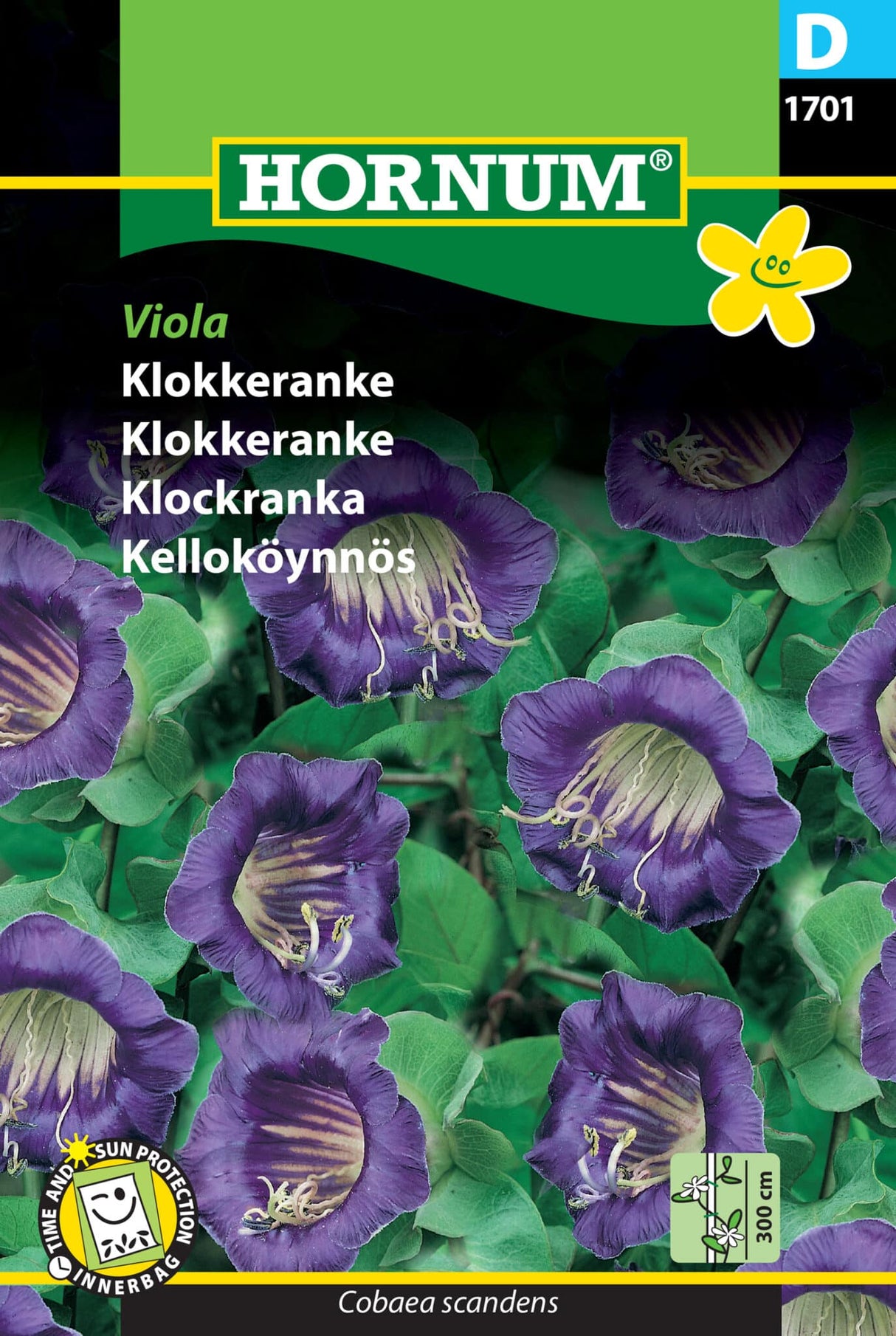 Klokkeranke 'Viola' Frø