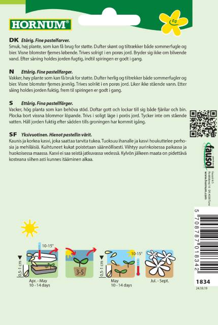 Kniplingsblomst 'Umbrella' Frøblanding