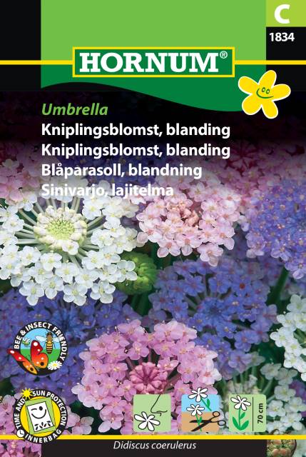 Kniplingsblomst 'Umbrella' Frøblanding