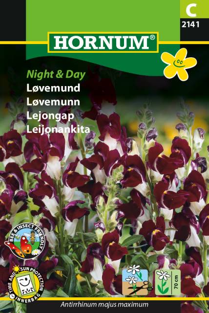 Løvemund 'Night & Day' Frø