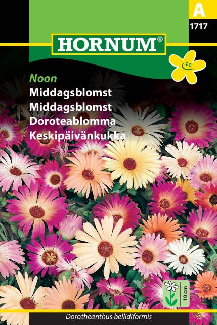 Middagsblomst 'Noon' Frø