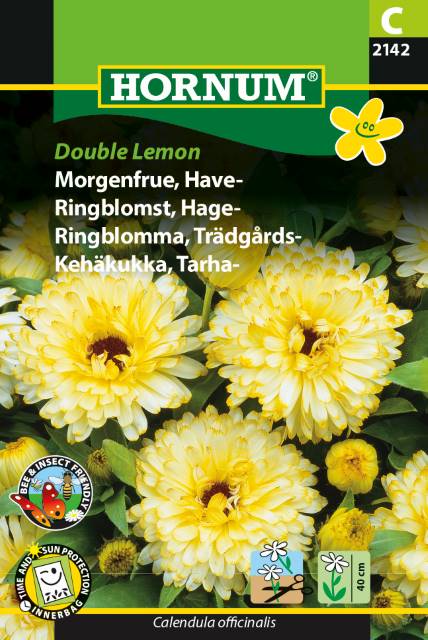 Morgenfrue 'Double Lemon' Frø