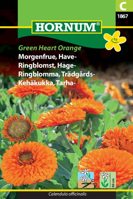 Morgenfrue 'Green Heart Orange' Frø