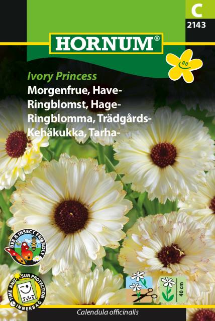 Morgenfrue 'Ivory Princess' Frø