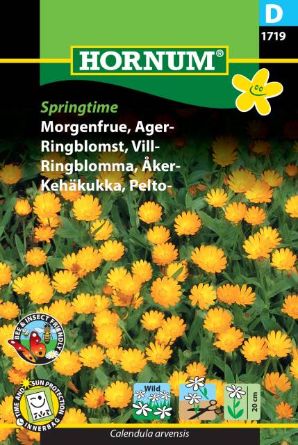 Morgenfrue 'Springtime' Frø