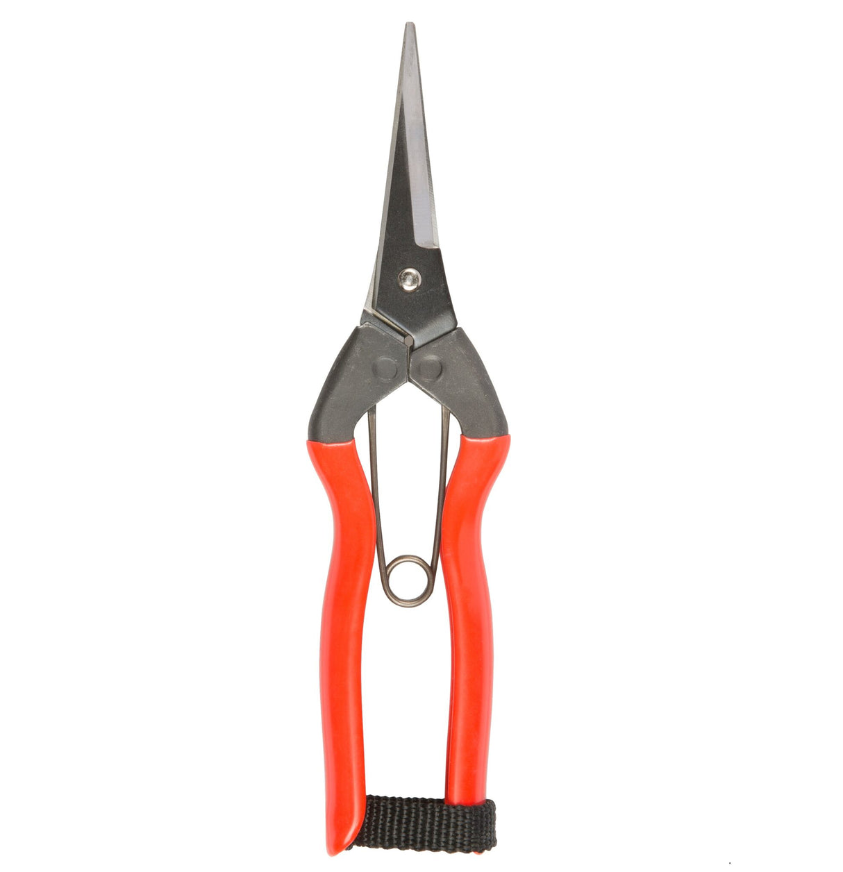 Niwaki 'Garden Blomstersaks/Snips'