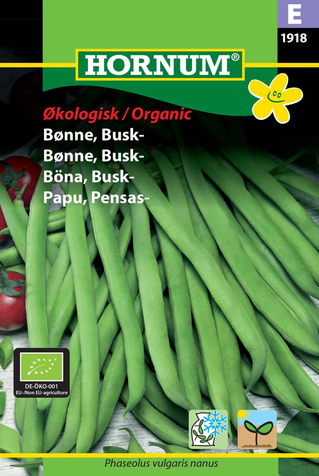 Økologiske Bønner Busk Frø