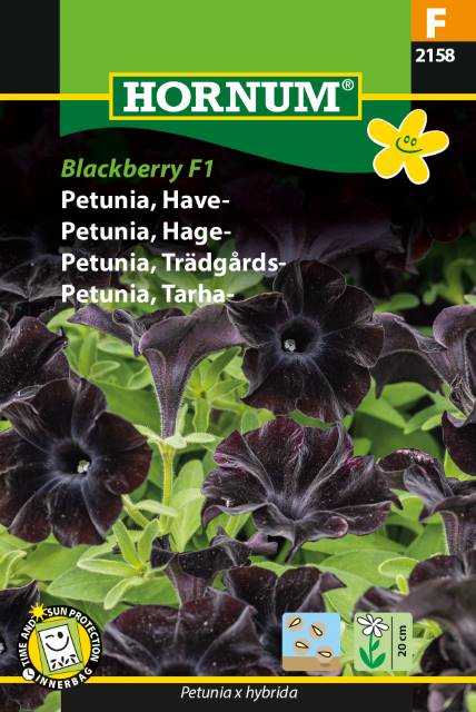 Petunia 'Blackberry' Frø
