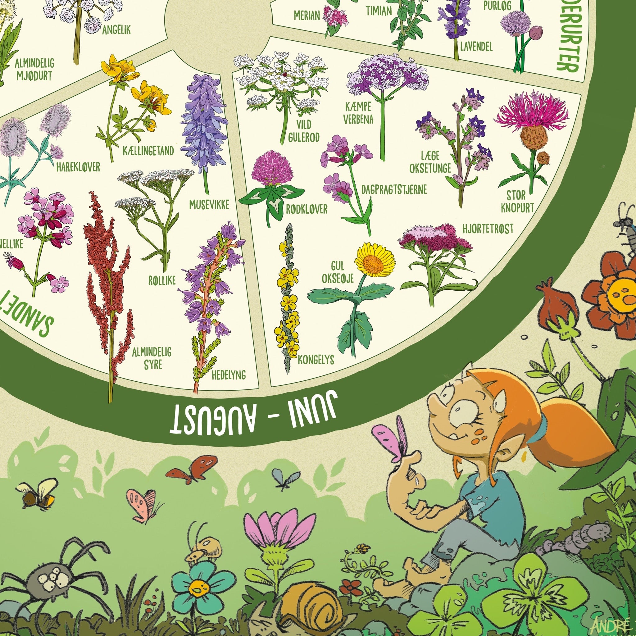 Insektvenlige planter' plakat