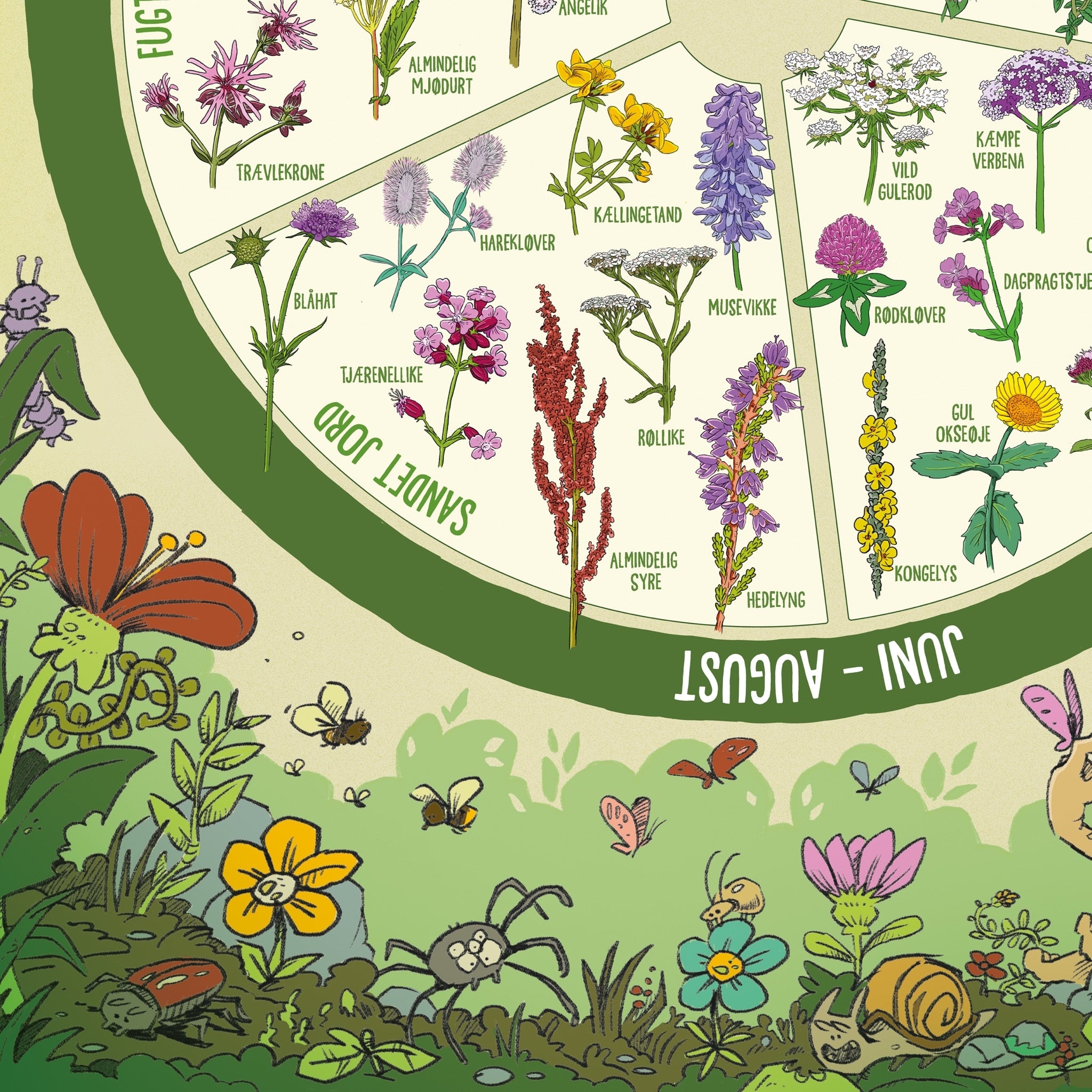 Insektvenlige planter' plakat