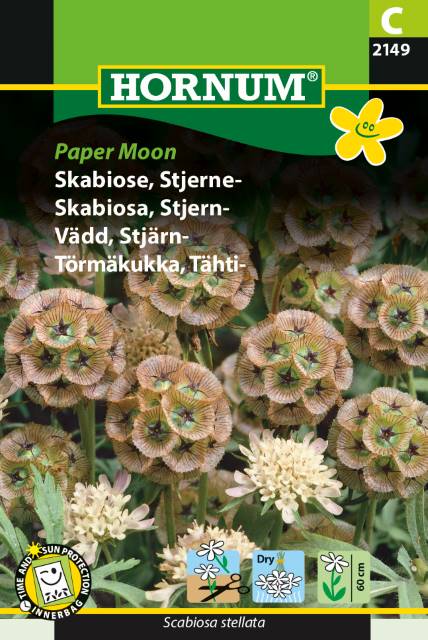 Scabiose 'Paper Moon' Frø