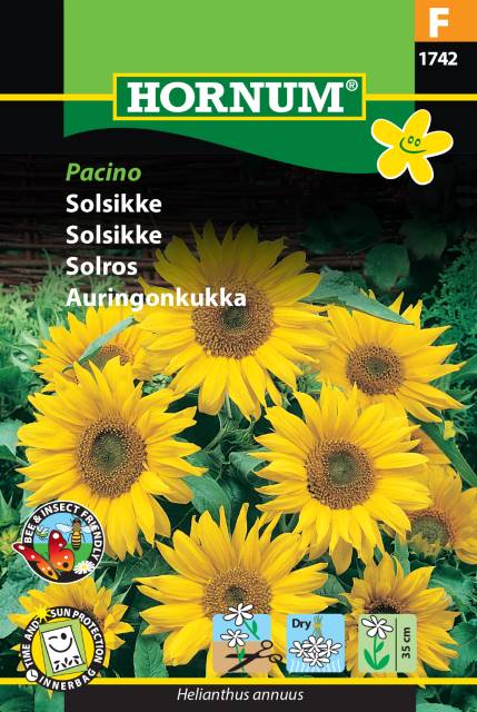 Solsikke 'Pacino' Frø