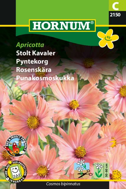 Stolt Kavaler 'Apricotta' Frø