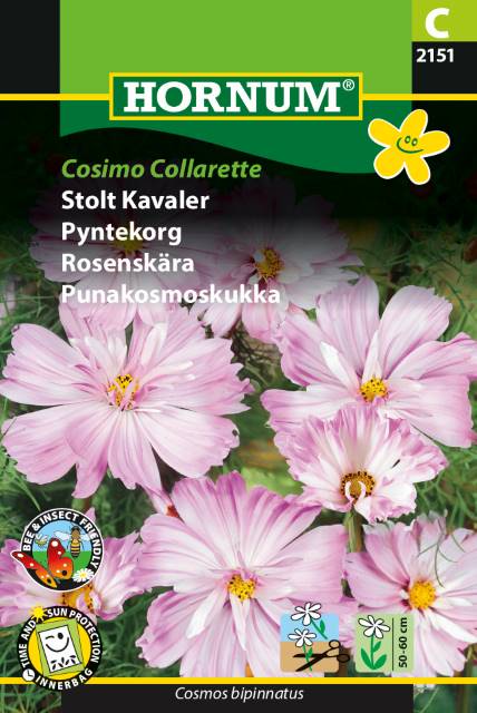 Stolt Kavaler 'Cosimo Collarette' Frø