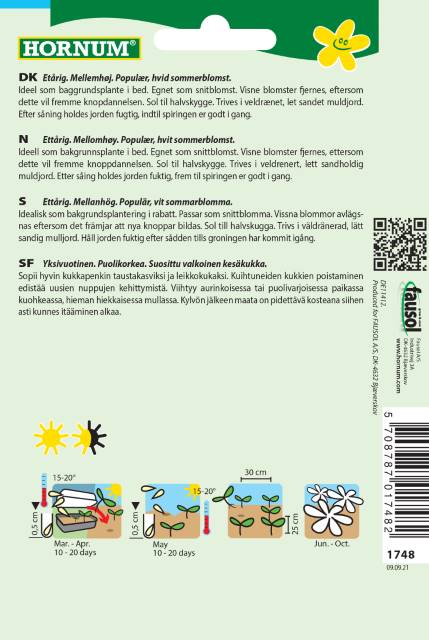 Stolt Kavaler 'Sonata White' Frø