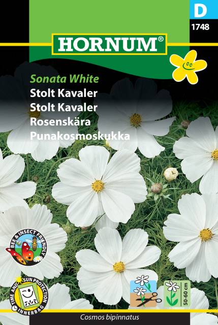 Stolt Kavaler 'Sonata White' Frø