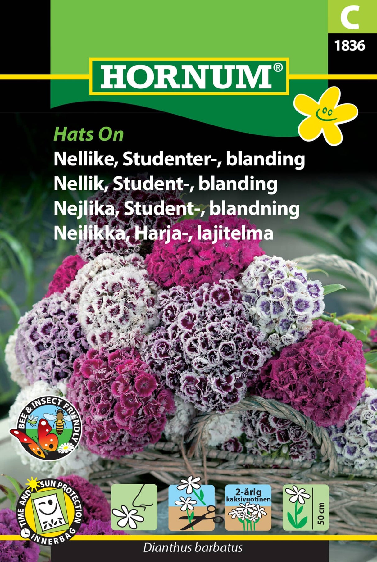 Studenternellike 'Hats On' Frøblanding