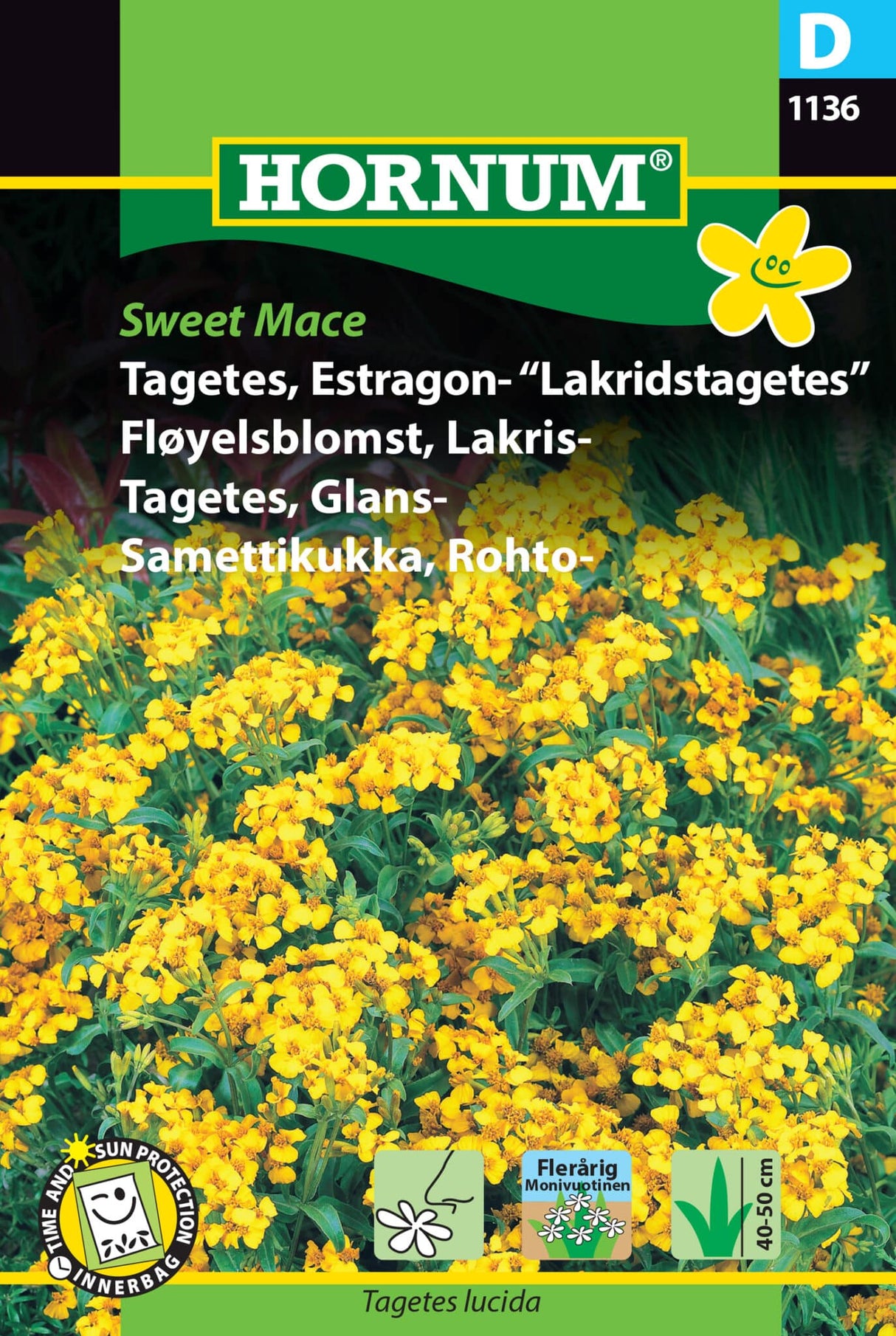 Tagetes Estragon Lakridstagetes 'Sweet Mace' Frø