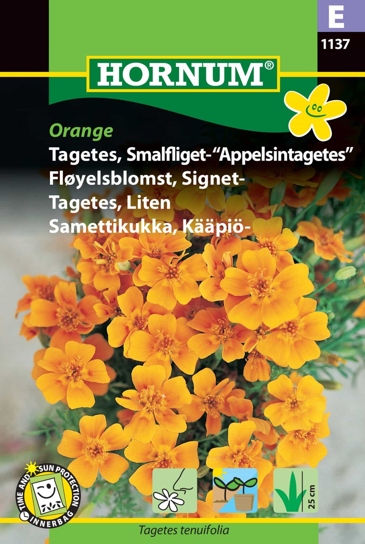 Tagetes Smalfliget Appelsintagetes 'Orange' Frø
