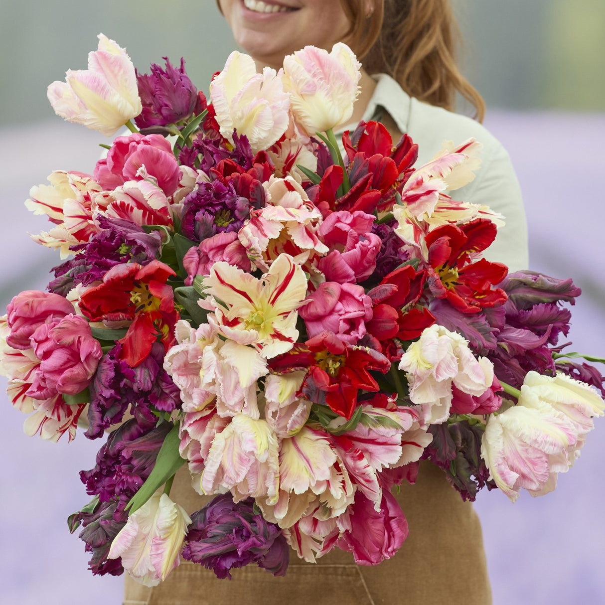 Tulipanblanding 'Elegant Parrot Mix'